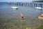 Camping Adria Slovenie