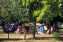 Camping Le Clos de Balanede
