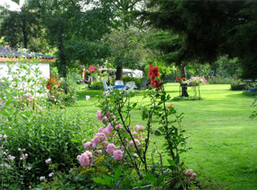 Groene campings